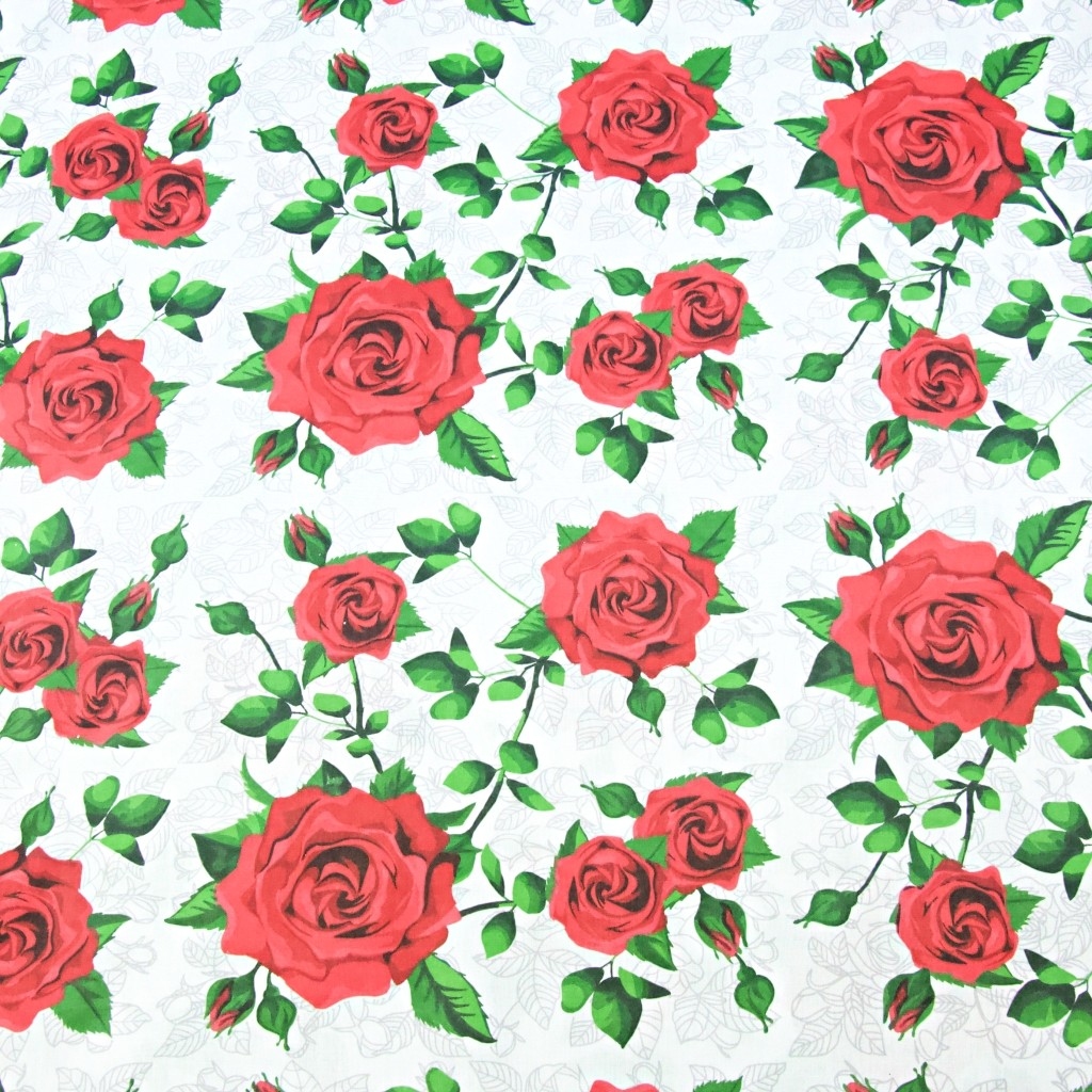 Kwiaty róże czerwone na białym tle
