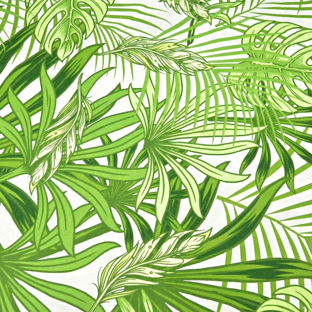 liście zielone palmowe i monstera na białym tle