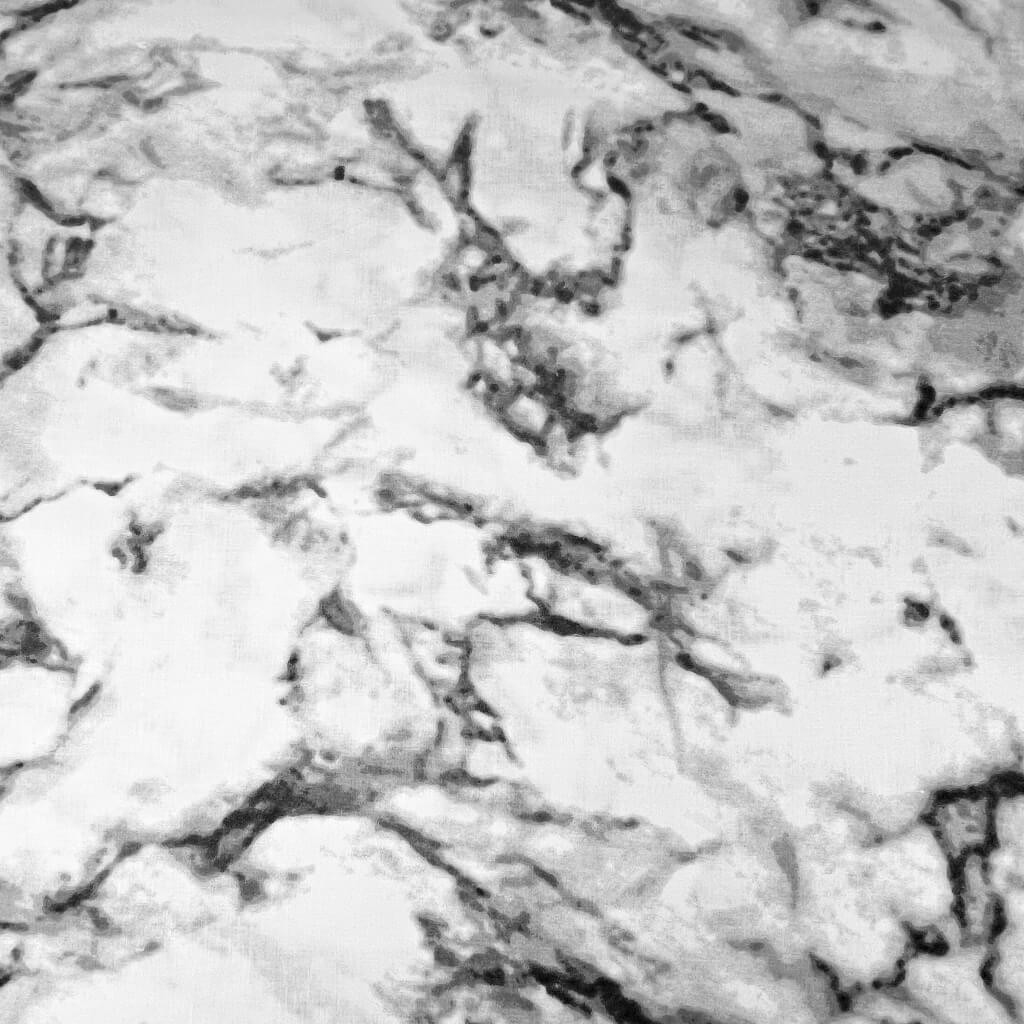 Tkanina bawełniana marmury szare na białym tle - 220 cm