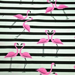 Imagén: flamingi z pasami czarnymi na biaÅym tle