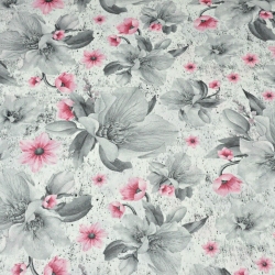 Imagén: kwiaty magnolie szaro-rÃ³Å¼owe na biaÅym tle